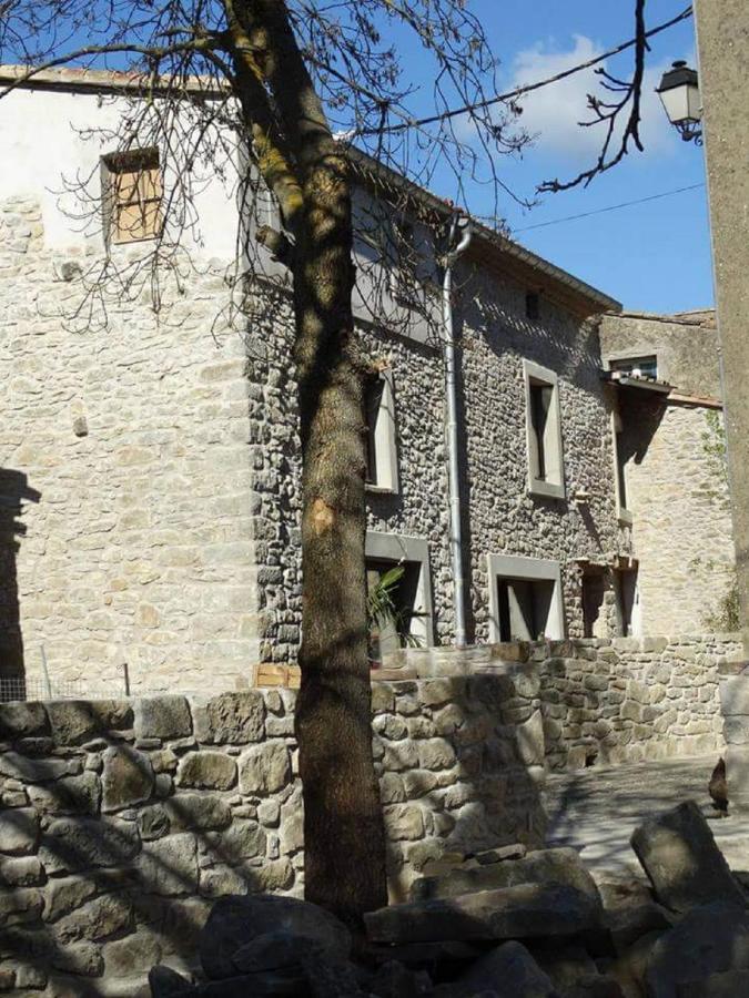 Villa Misanid Ecrin De Verdure A 15Mm De La Cite De Carcassonne Mas-des-Cours Zewnętrze zdjęcie