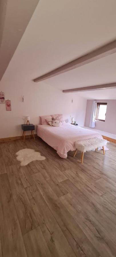 Villa Misanid Ecrin De Verdure A 15Mm De La Cite De Carcassonne Mas-des-Cours Zewnętrze zdjęcie